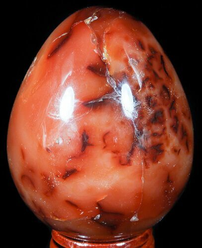 Colorful Carnelian Agate Egg #55535